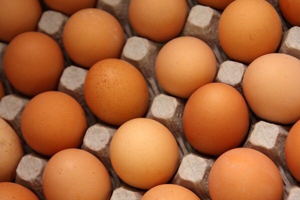 курячі яйця