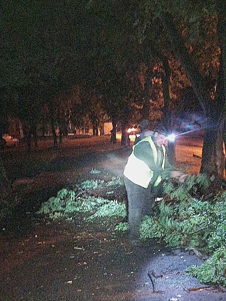 Буревій у Харкові повалив майже пів сотні дерев: фото наслідків