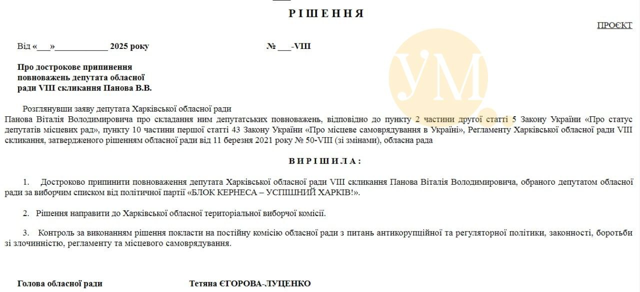 Проект решения по мандату Виталия Панова