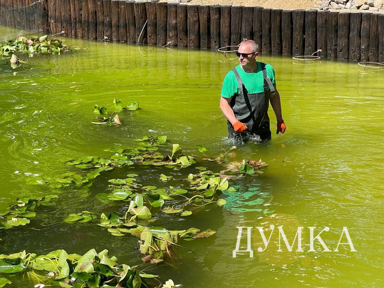 Озеро в Центральном парке в Харькове