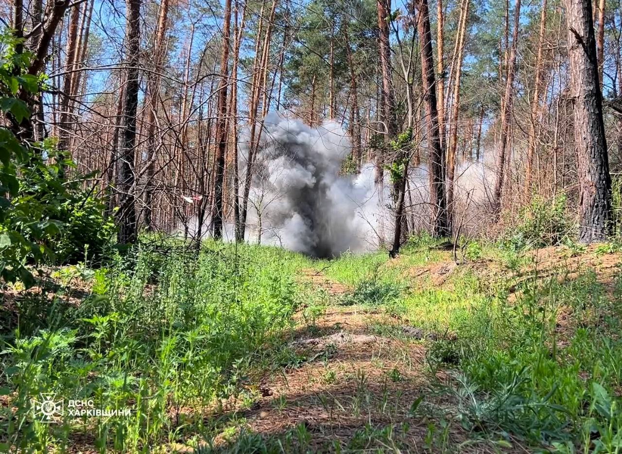 На Харківщині під час розмінування сапери знайшли ручну гранату Ф-1: кадри з місця