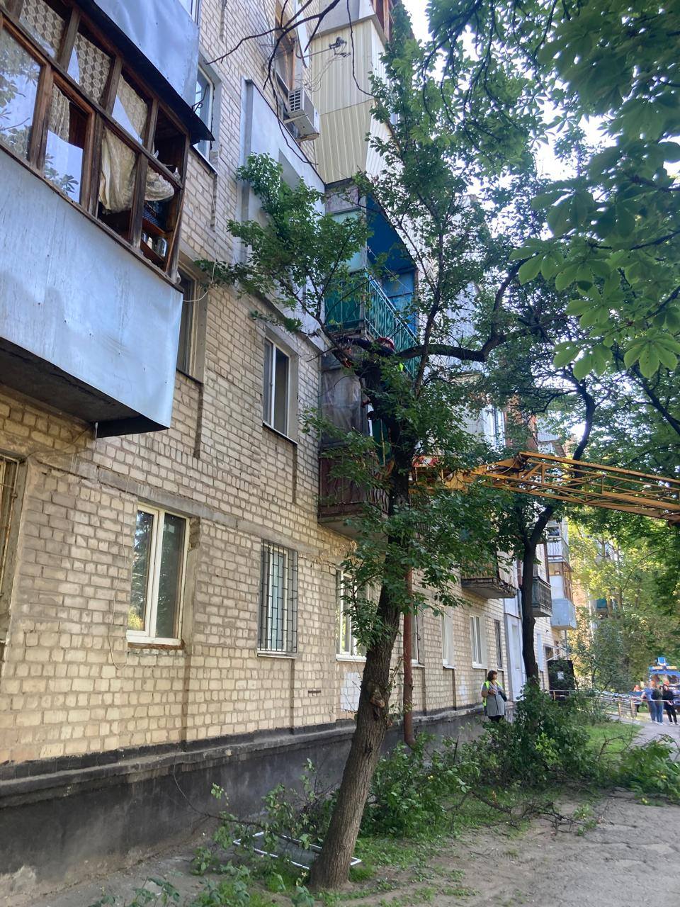 У Харкові комунальники зрізали понад 20 дерев, щоб закрити вибиті вікна