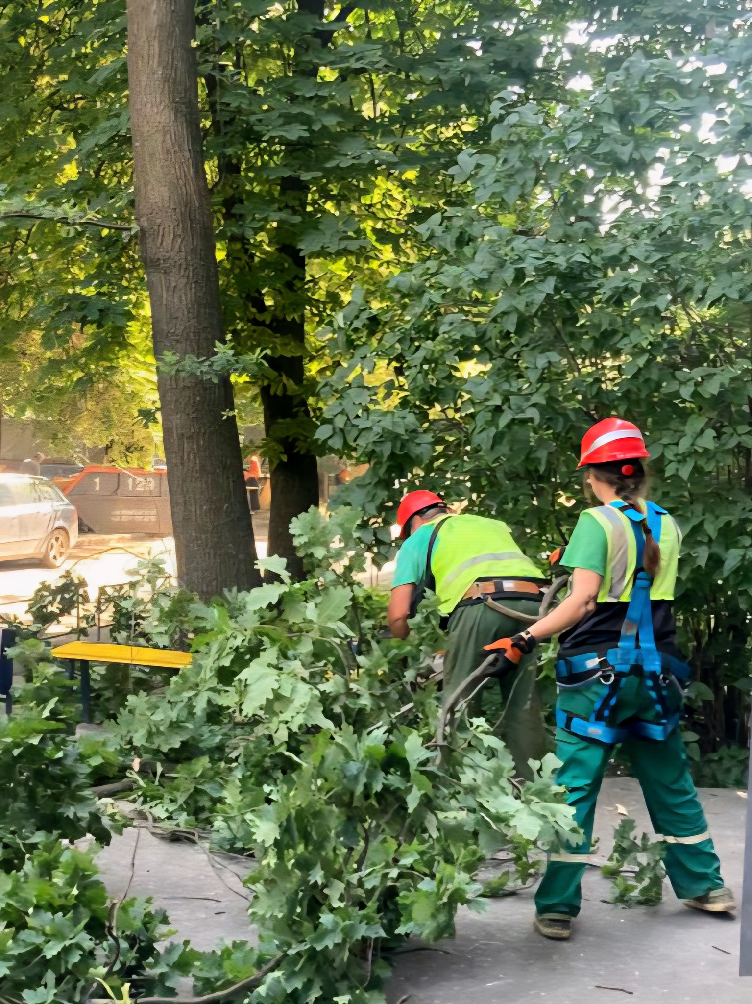 У Харкові комунальники зрізали понад 20 дерев, щоб закрити вибиті вікна