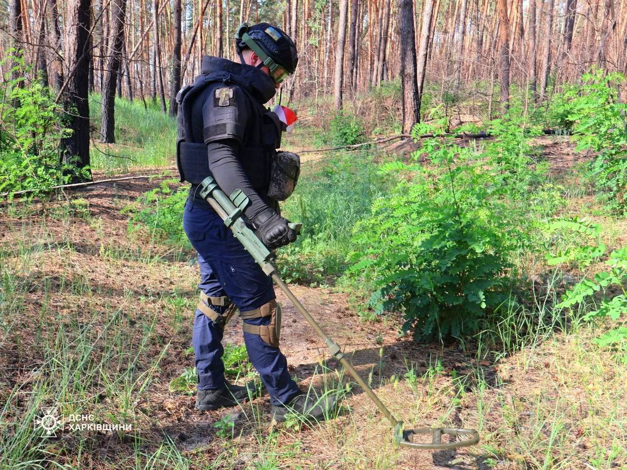 На Харківщині під час розмінування сапери знайшли ручну гранату Ф-1: кадри з місця
