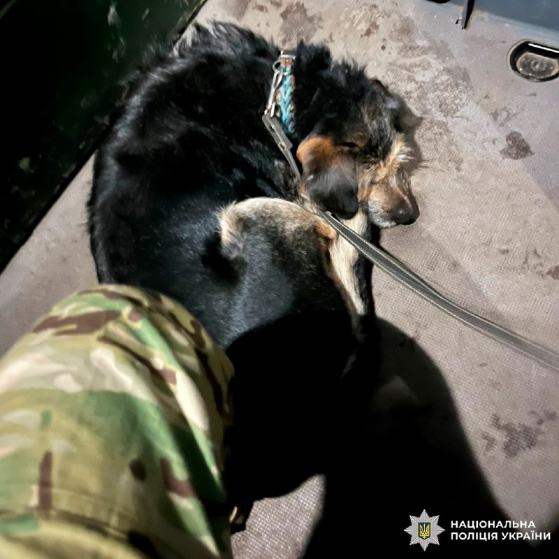 Поліцейські Харківщини евакуювали родину з песиком із зони обстрілів