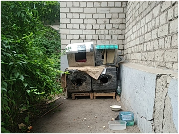 Домики для кошек, сделанные жильцами из подручных средств. Харьков. Посёлок Жуковского