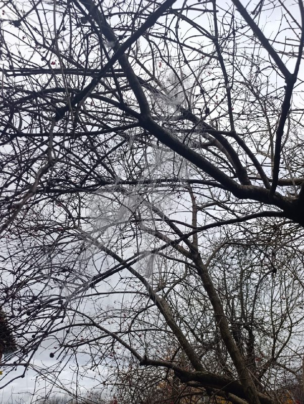 На Харківщині ворог ударив дроном по Золочеву — є руйнування