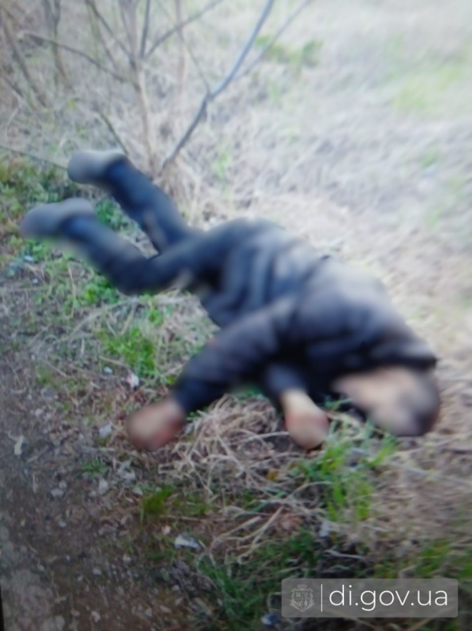 В Козачій Лопані місцеві підняли дрона-”ждуна”: чоловік загинув, жінку евакювали лише через добу