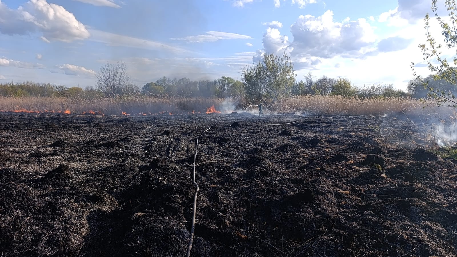 Ледь не дійшло до будинків: на Харківщині загасили пожежу сухостою