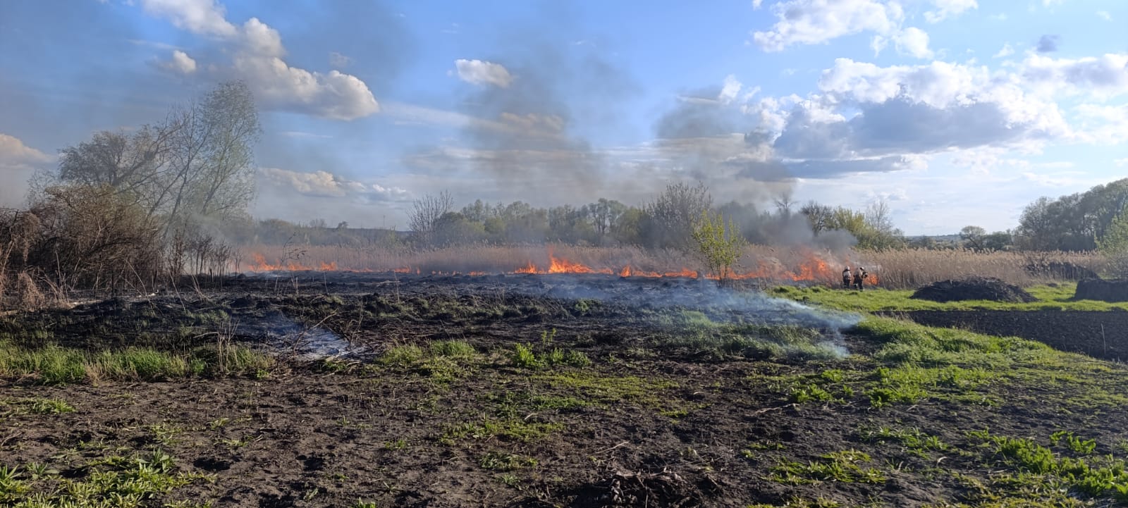 Ледь не дійшло до будинків: на Харківщині загасили пожежу сухостою