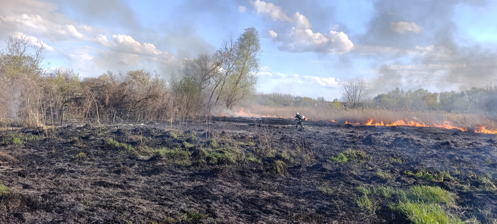 Ледь не дійшло до будинків: на Харківщині загасили пожежу сухостою