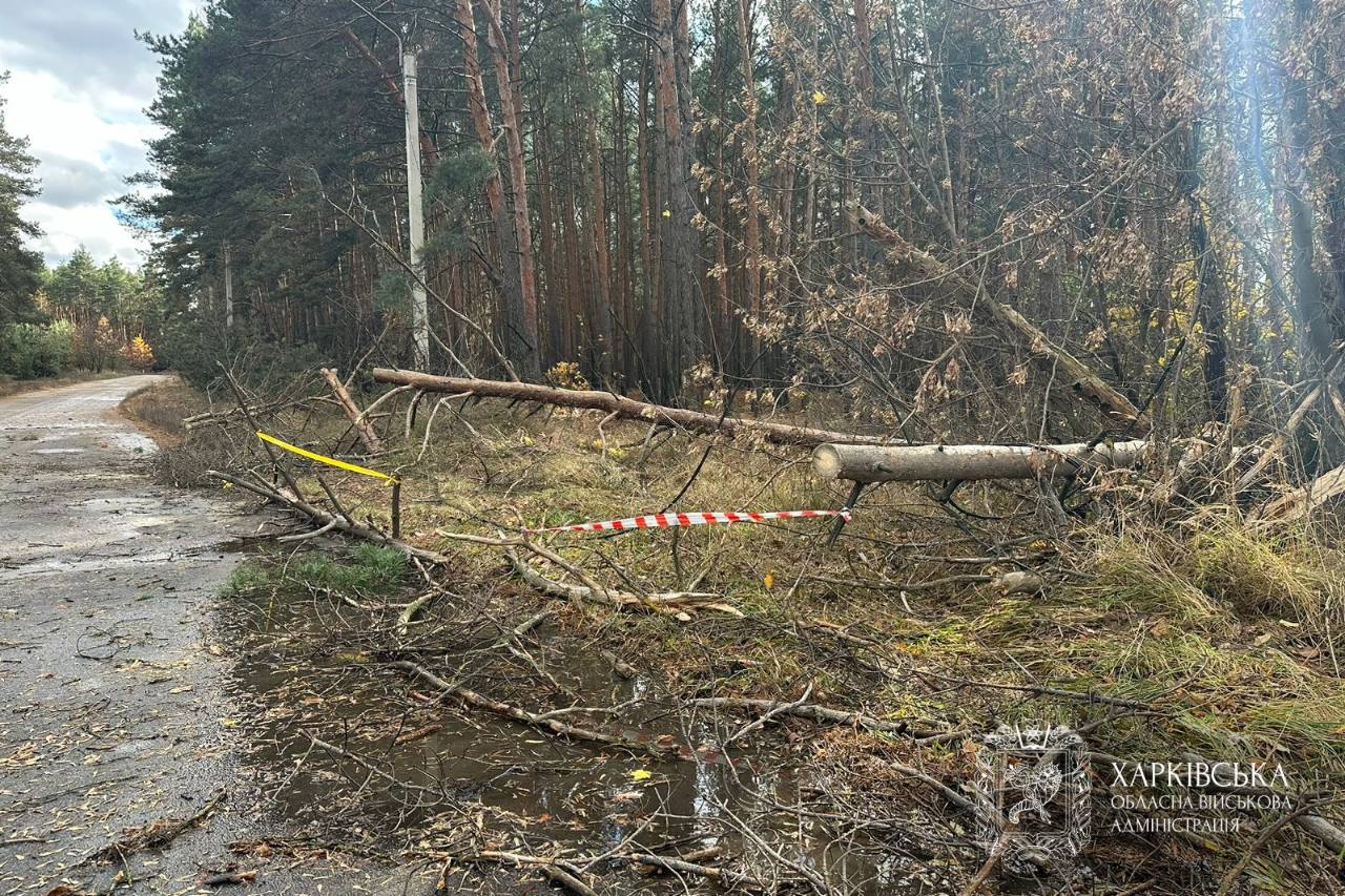 Буревій знеструмив райони та зупинив метро: що відомо про наслідки на Харківщині
