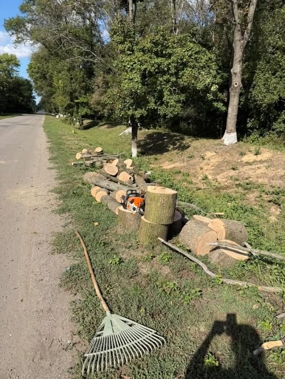 На Харківщині незаконно вирубали сухі дерева: порушник заплатить за збитки
