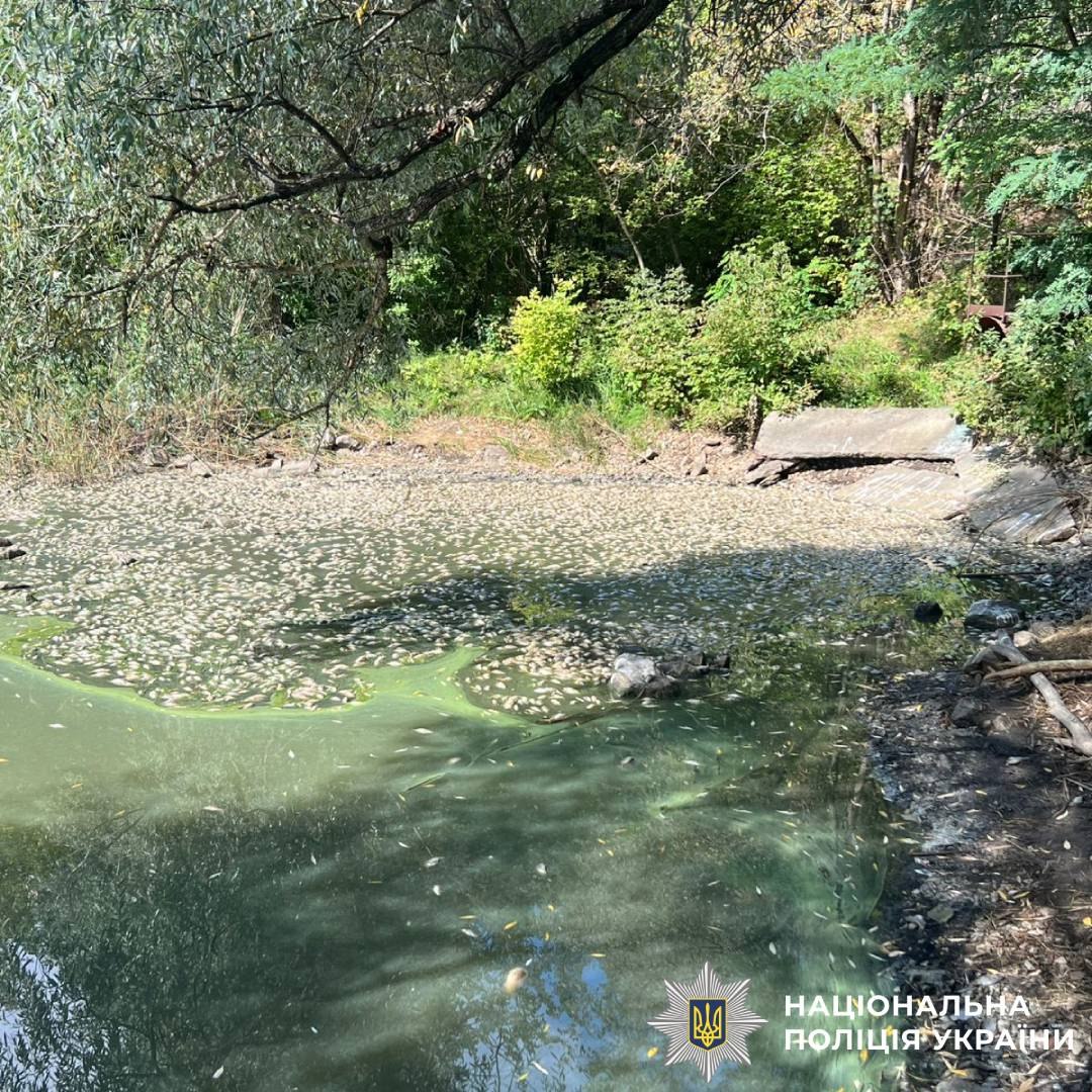Стало відомо, скільки риби загинуло у водоймі на Харківщині: кадри з місця