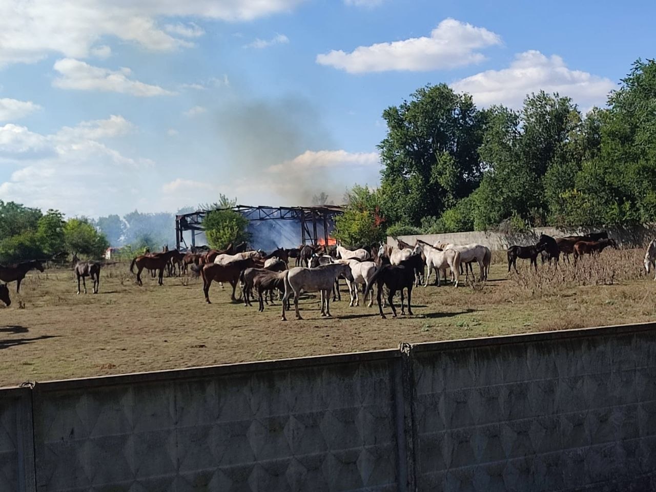 Ворог вдруге за тиждень ударив по підприємству на Харківщині: згоріли сотні тонн сіна та зерна