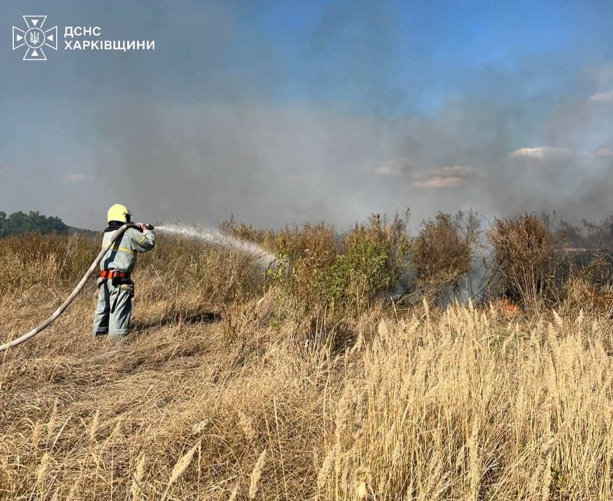 На Харківщині за добу вигоріло понад 6,6 га сухої трави