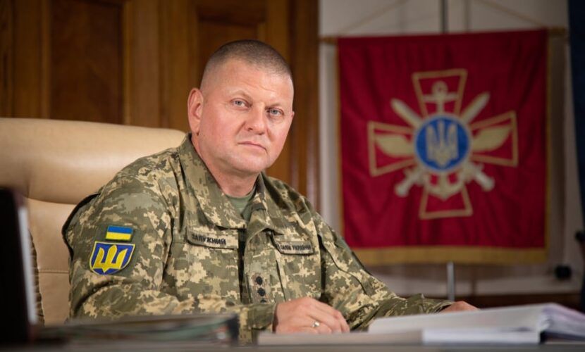 Валерий Залужный / Фото: Голос Украины