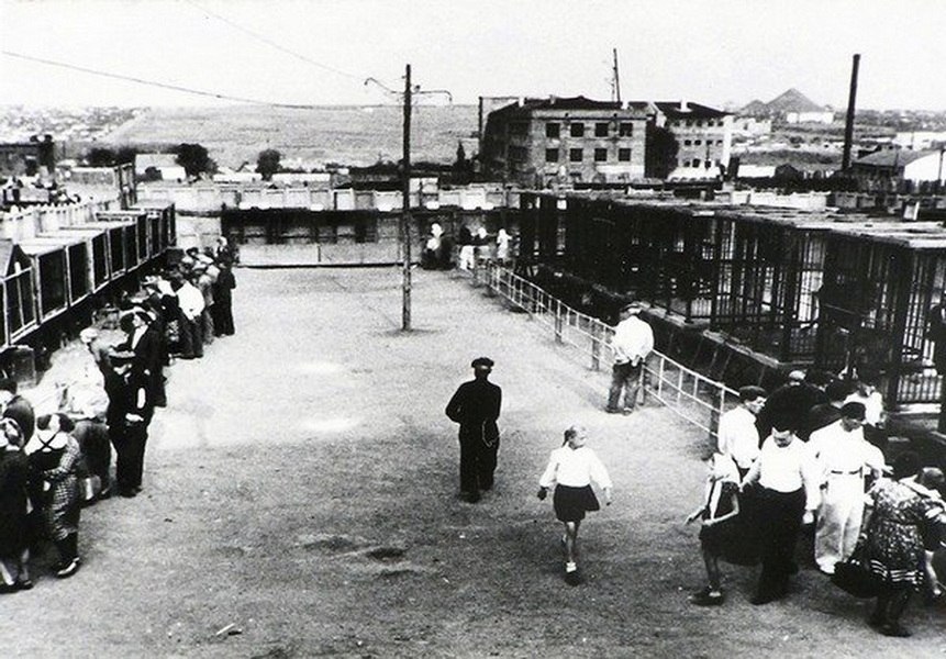 Харківський зоопарк