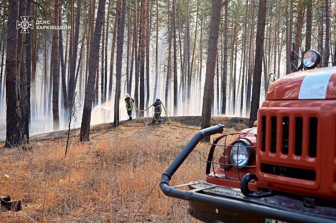 лісова пожежа на Харківщині