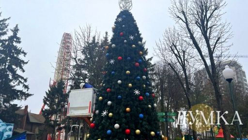 Центральный парк Харькова украшают к зимним праздникам (ФОТОРЕПОРТАЖ)