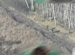Ховалися у лісосмузі: на Харківщині прикордонники спалили групу росіян