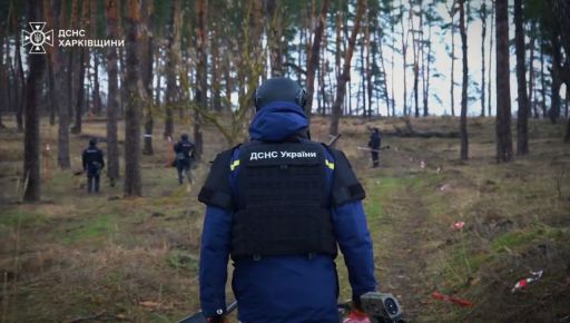 На Харківщині окупанти нашпигували колишній дитячій табір у лісі всіма видами мін – ДСНС