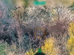 На Харьковщине сорвали попытки россиян прорваться на Волчанском направлении