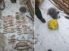 В Чугуеве задержали браконьера с выловленной рыбой на 114 тыс. грн