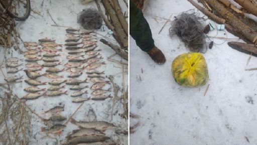 В Чугуеве задержали браконьера с выловленной рыбой на 114 тыс. грн