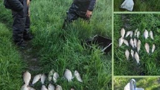 Под Харьковом рыбак сеткой выбил карася на 27 тыс. грн