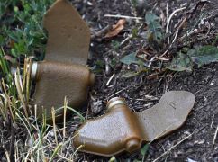 На Харьковщине семеро детей пострадали в результате взрыва противопехотной мины – Синегубов