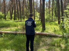 На Харьковщине фирма застроила лес домами и обнесла забором: прокуратура подала в суд