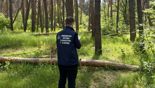 На Харьковщине фирма застроила лес домами и обнесла забором: прокуратура подала в суд