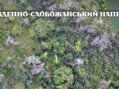 Не дошли до укрытий: на Харьковщине дроны Нацгвардейцев уничтожили группы россиян