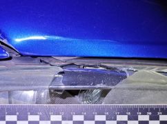 На Харківщині 75-річний водій Peugeot збив чоловіка прямо на "зебрі"