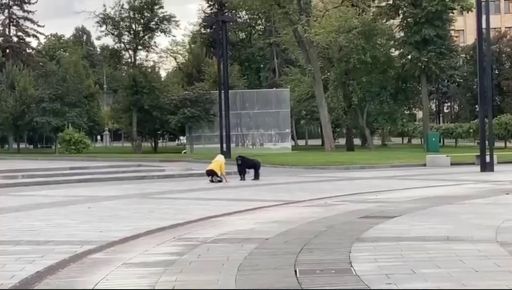 В Харькове на площади Свободы заметили шимпанзе