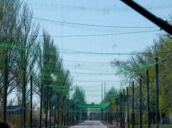 Терехов відповів, чи з&rsquo;являться у Харкові антидронові сітки