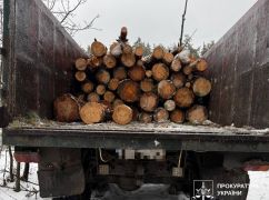 На Харківщині викрили незаконну вирубку лісу на сотні тисяч гривень