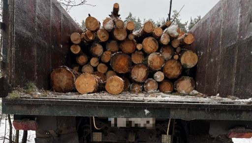На Харківщині викрили незаконну вирубку лісу на сотні тисяч гривень