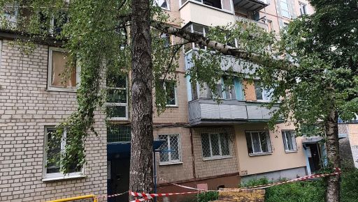 В Харькове сильный ветер повалил деревья и ветви: кадры последствий непогоды