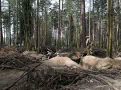 На Харківщині ворог тричі намагався прорвати оборону ЗСУ &ndash; Генштаб