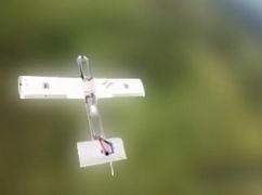 Прикордонники розповіли, скільки російських дронів збили над Харківщиною за добу