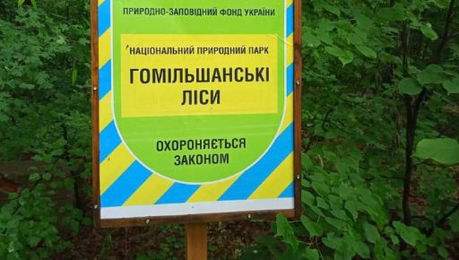 В Харьковской области два участка леса стоимостью более 1 млн грн незаконно отдали в частную собственность