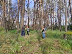 Загиблий ліс на Журавлівці: Екоактивіст розповів, що буде з деревами