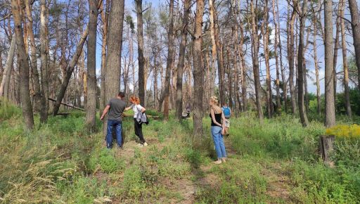 Загиблий ліс на Журавлівці: Екоактивіст розповів, що буде з деревами
