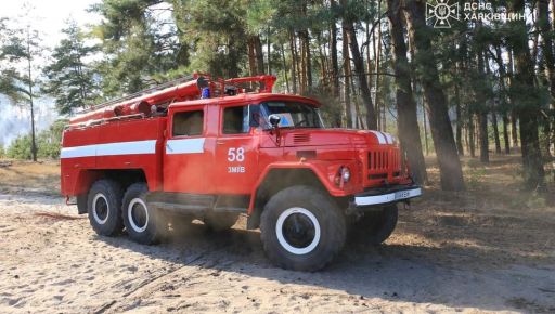 В Харьковской области горят леса: Огнем охвачено более 200 га