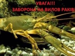 В Харьковской области запретят ловить раков: Стала известна сумма штрафа за одну особь