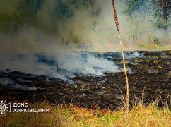 Більше сотні пожеж ліквідували на Харківщині протягом тижня: що горіло найчастіше