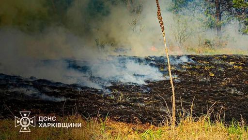 Более сотни пожаров ликвидировали на Харьковщине в течение недели: что горело чаще