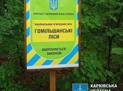 На Харківщині чиновники незаконно віддали у приватну власність вікові ліси: Що вирішив суд